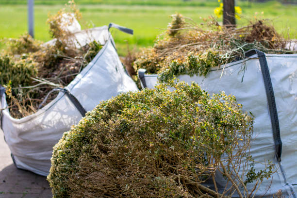 Best Commercial Cleanout Services  in Makawao, HI